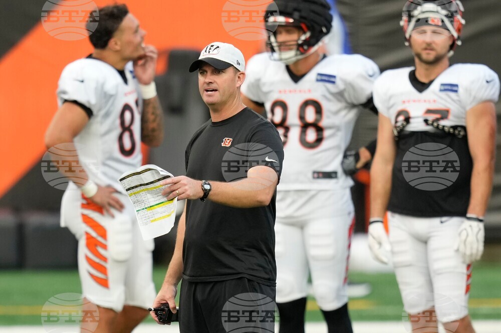 Bengals Football