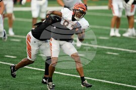 Bengals Football