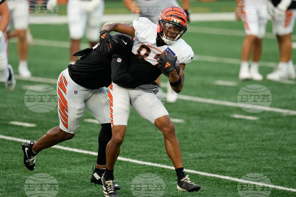 Bengals Football