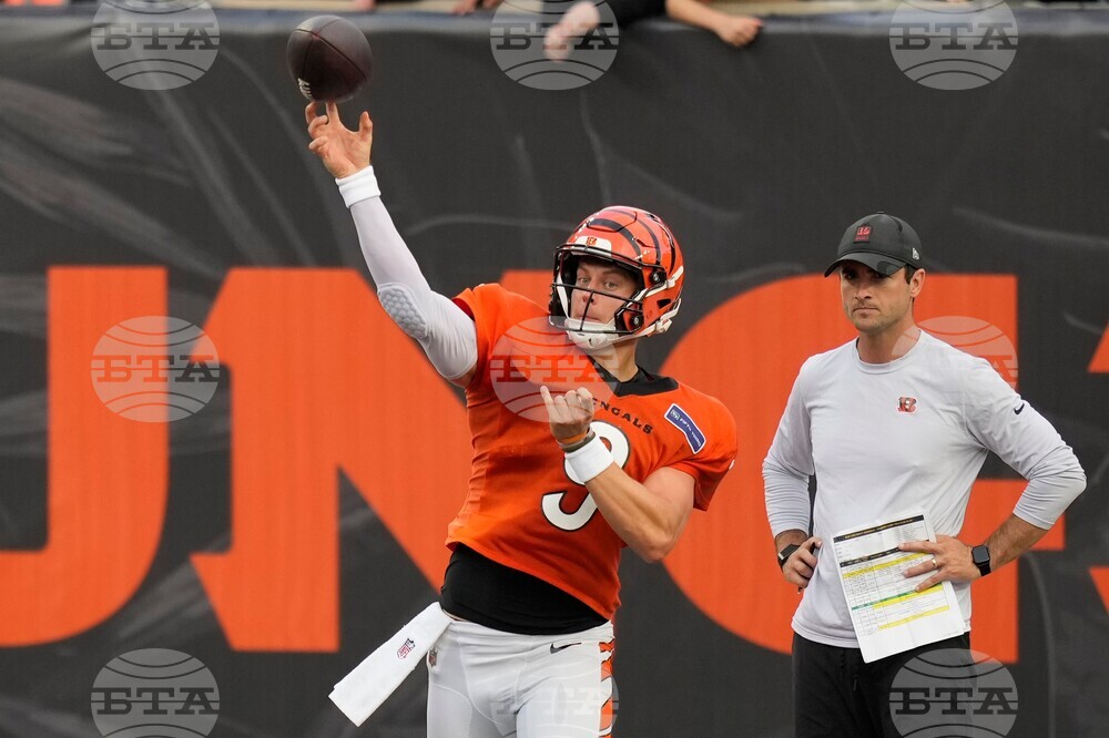 Bengals Football
