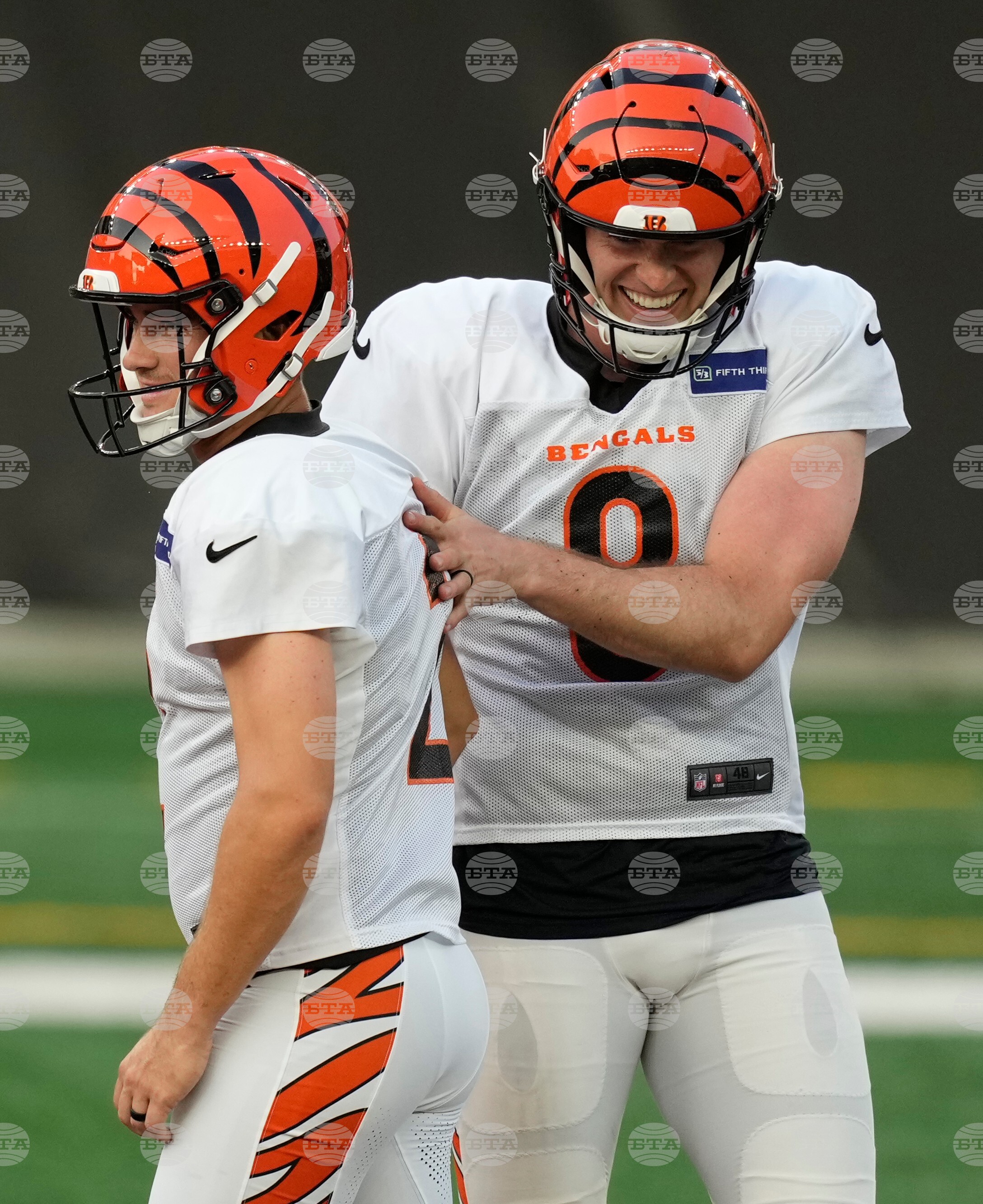 Bengals Football
