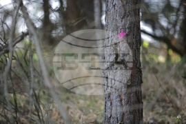 Самоков - взрив - място