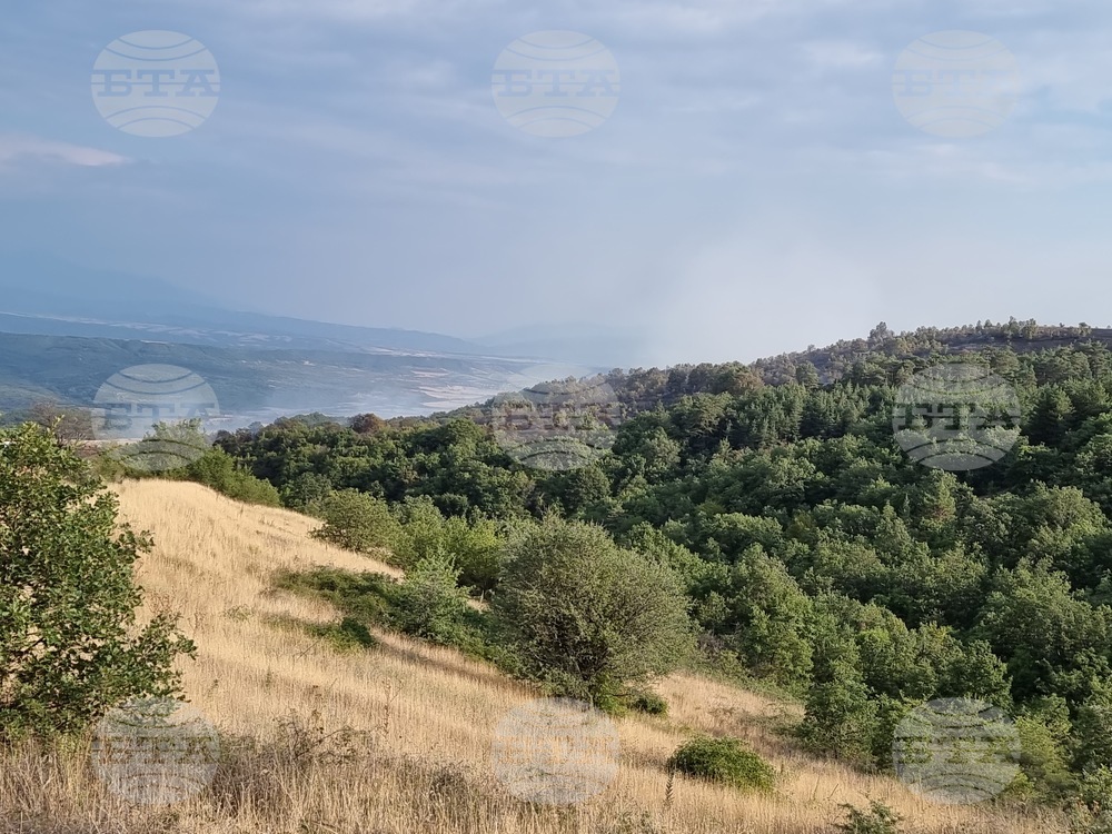 Село Висока могила - пожар