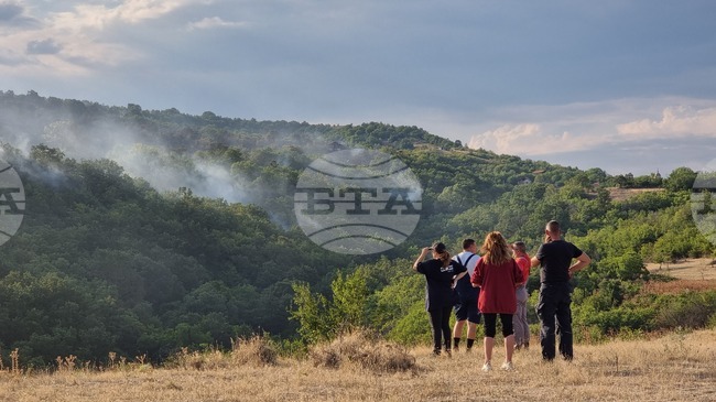 Овладян е пожар в местността Петрова нива, съобщи кметът на Малко Търново