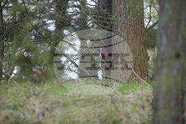 Самоков - взрив - място