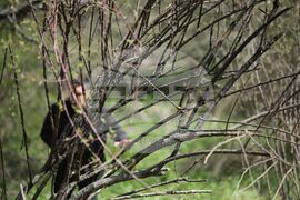 Самоков - взрив - място