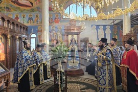 Сливен - Зографска икона на Пресвета Богородица