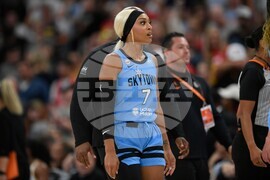 Fever Sky Basketball
