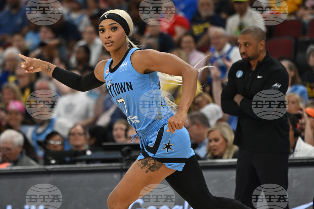 Fever Sky Basketball