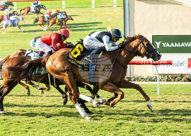 Del Mar Horse Racing