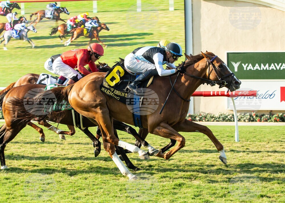 Del Mar Horse Racing
