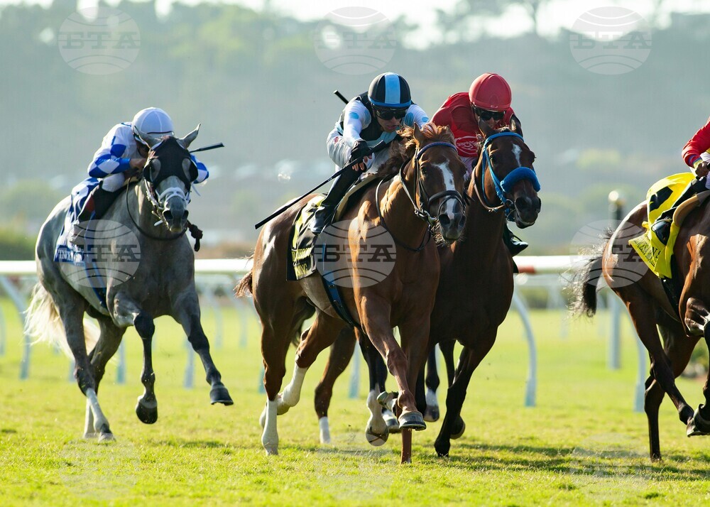 Del Mar Horse Racing