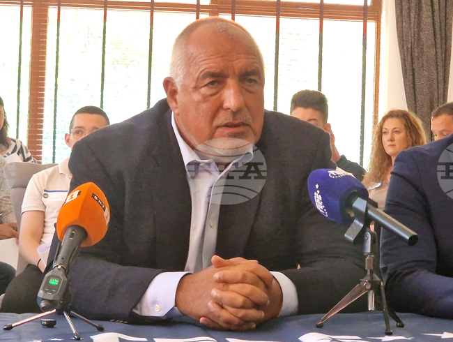 GERB Chair Says Bulgaria Can and Should Develop Its Defence Industry but Is Not Doing It