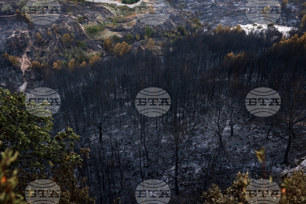 Albania Wildfires