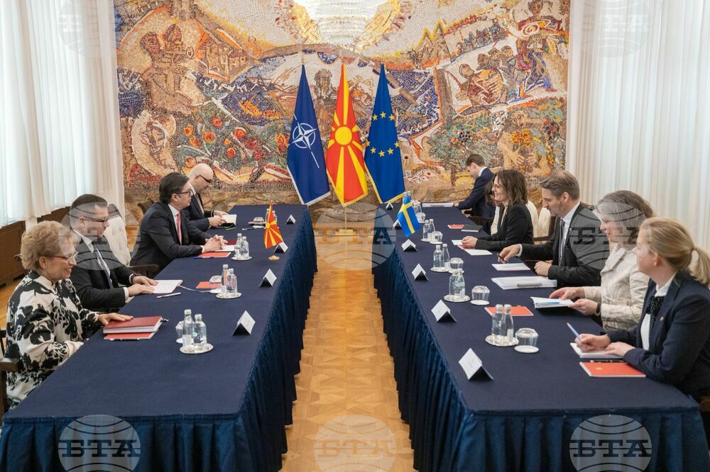 Sweden's EU Affairs Minister Discusses Skopje's EU Integration with President, Foreign Minister