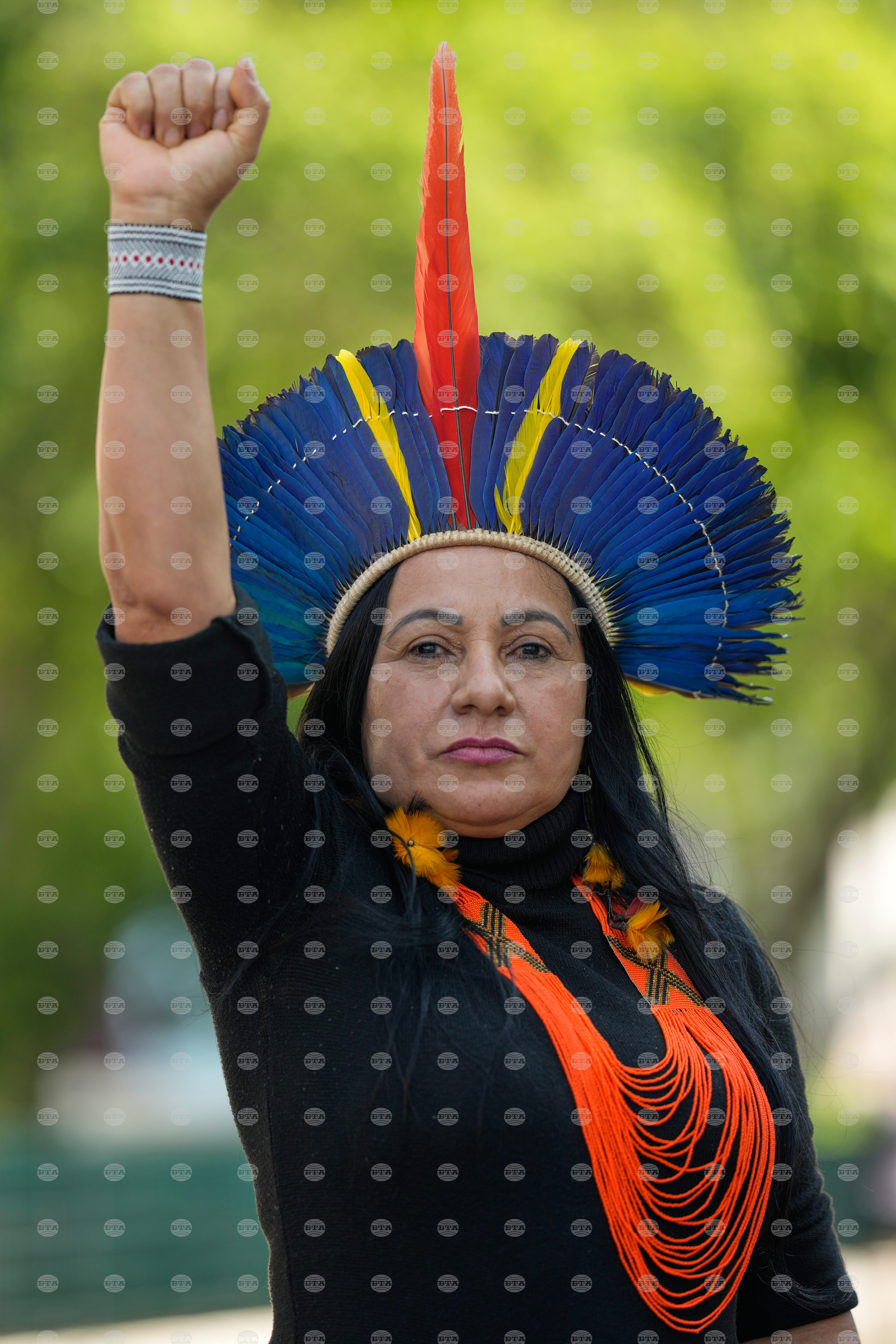 Brazil Indigenous Peoples