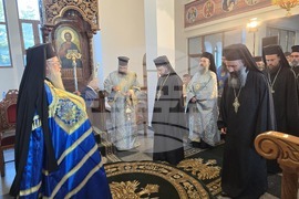 Крумовград - икона - „Света Богородица - Златна ябълка“ - митрополит Николай
