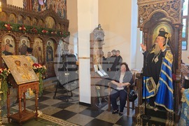 Крумовград - икона - „Света Богородица - Златна ябълка“ - митрополит Николай