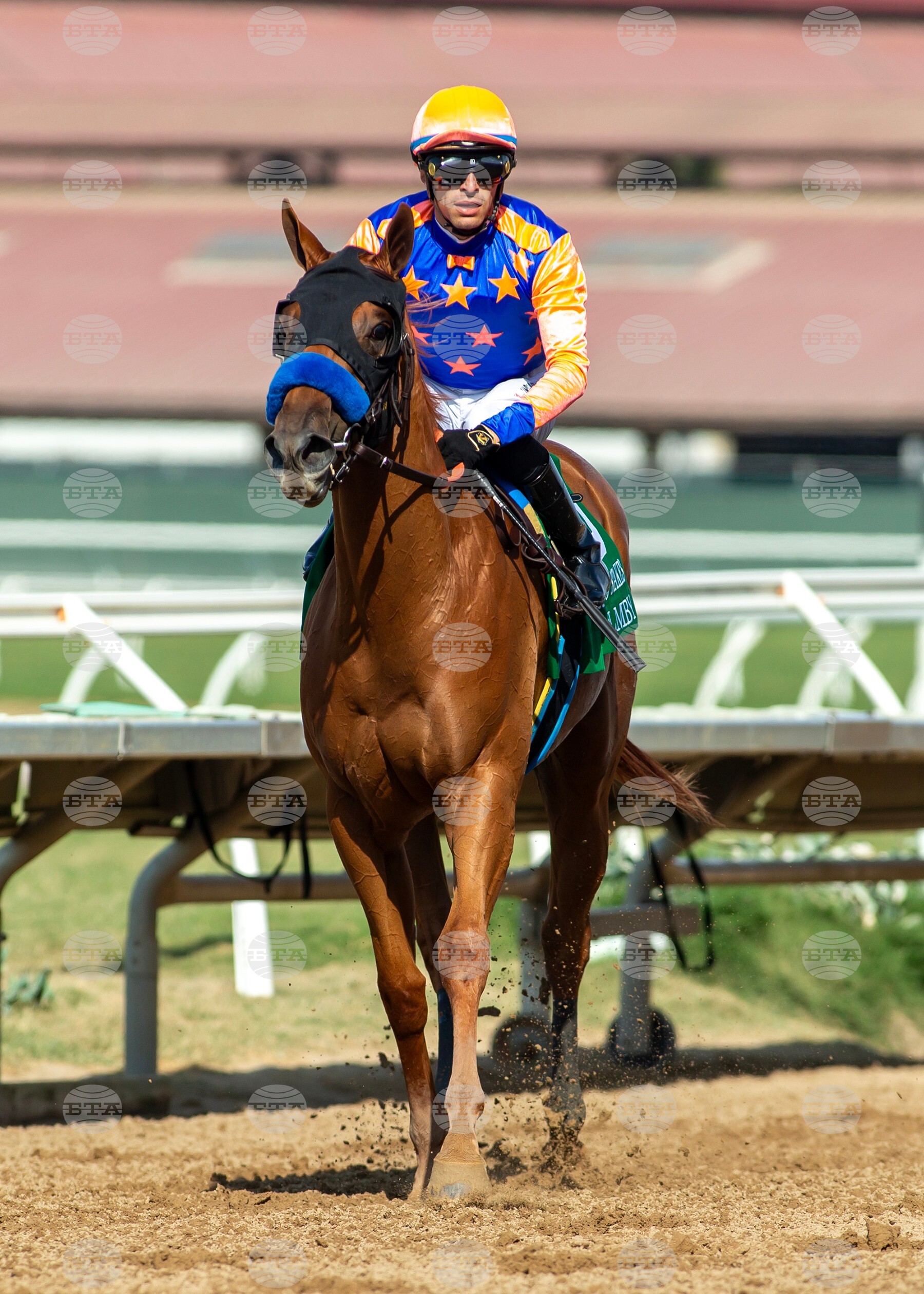 Del Mar Horse Racing