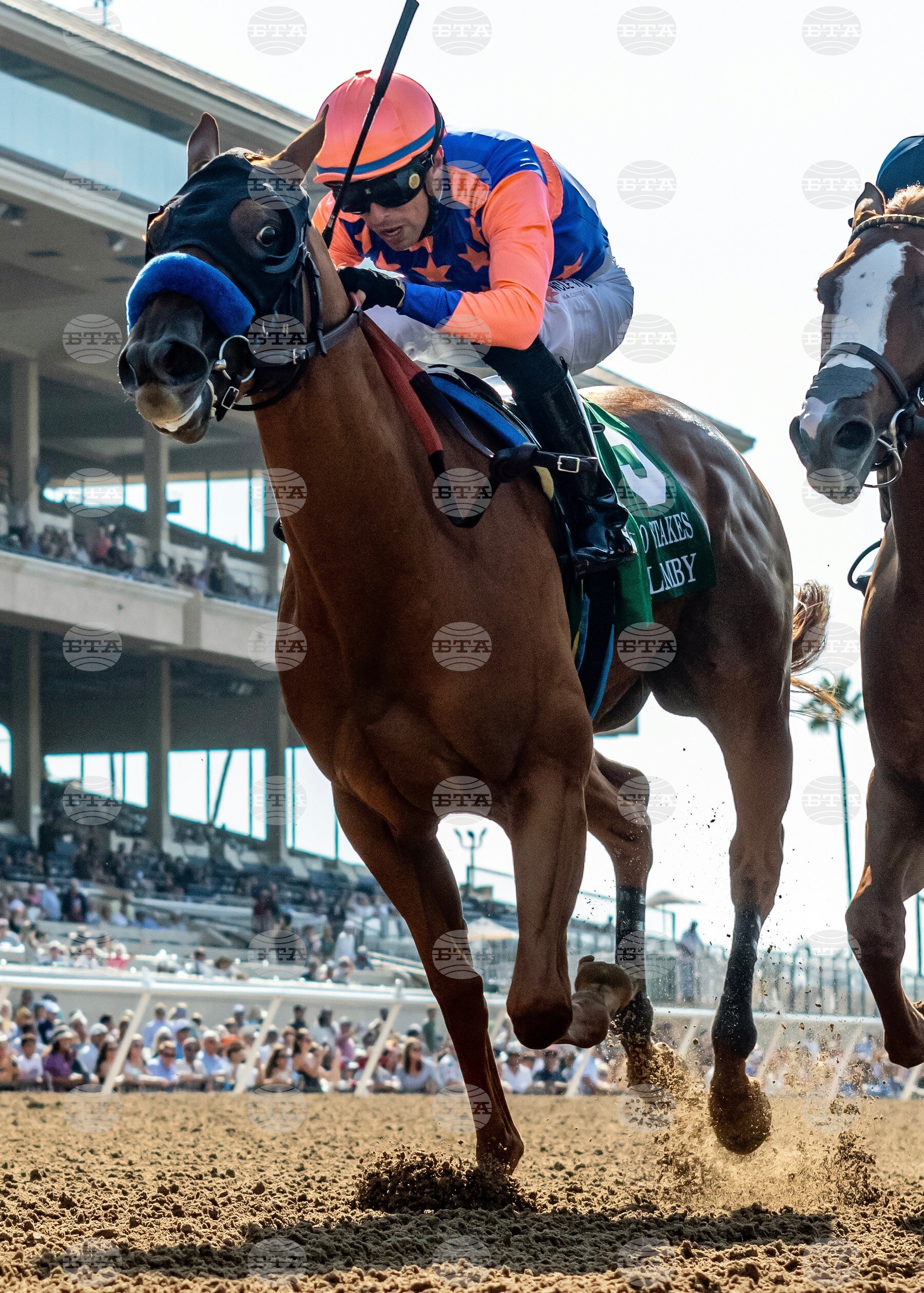 Del Mar Horse Racing