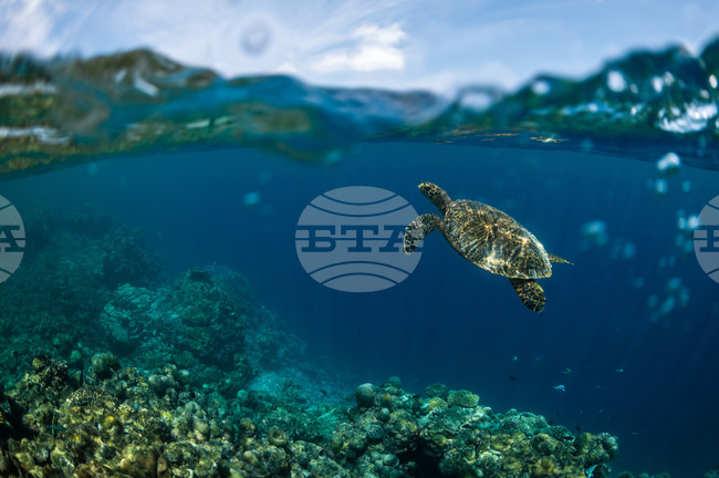 APTOPIX Climate Maldives Youth Activism