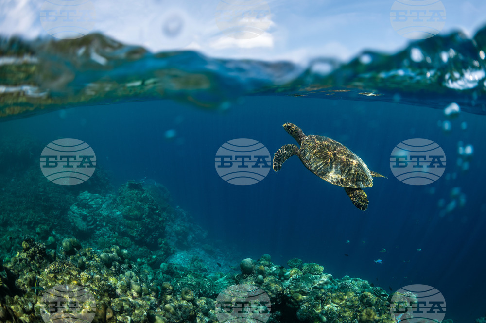 APTOPIX Climate Maldives Youth Activism