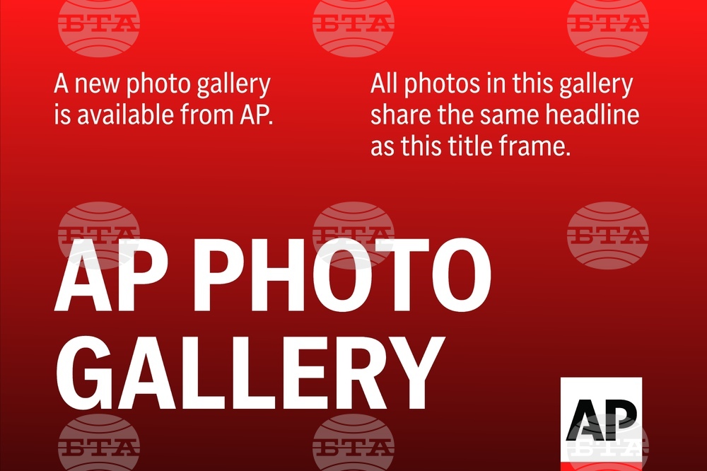Photos of the Day