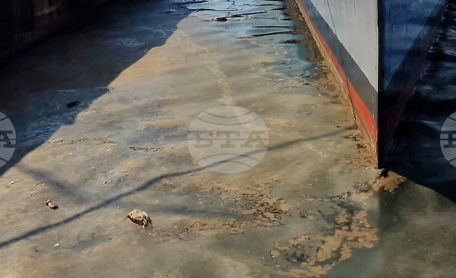 Ще бъде съставен акт на ВиК - Бургас за изтичане на отпадъчни води в морето, съобщиха от екоинспекцията