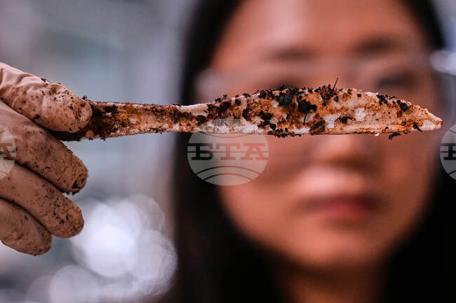 Climate Plastic Pollution Solutions