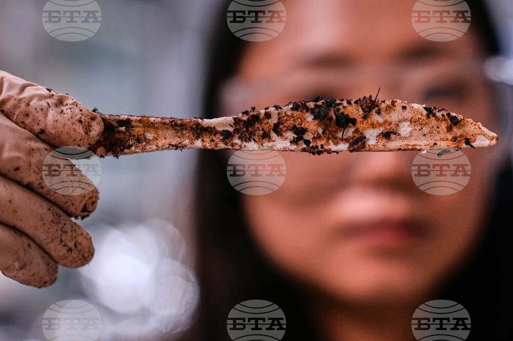 Climate Plastic Pollution Solutions