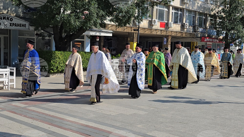 Видин - Хавайска чудотворна мироточива икона на Пресвета Богородица - посрещане - литийно шествие