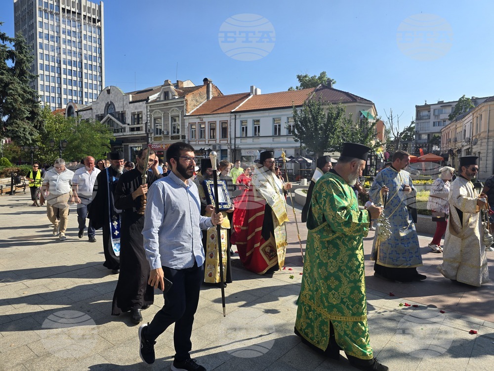 Видин - Хавайска чудотворна мироточива икона на Пресвета Богородица - посрещане - литийно шествие