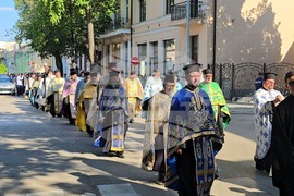 Видин - Хавайска чудотворна мироточива икона на Пресвета Богородица - посрещане - литийно шествие
