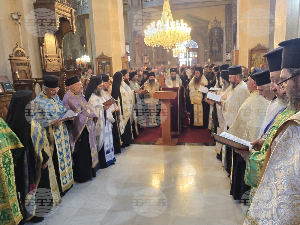 Видин - Хавайска чудотворна мироточива икона на Пресвета Богородица - посрещане - литийно шествие