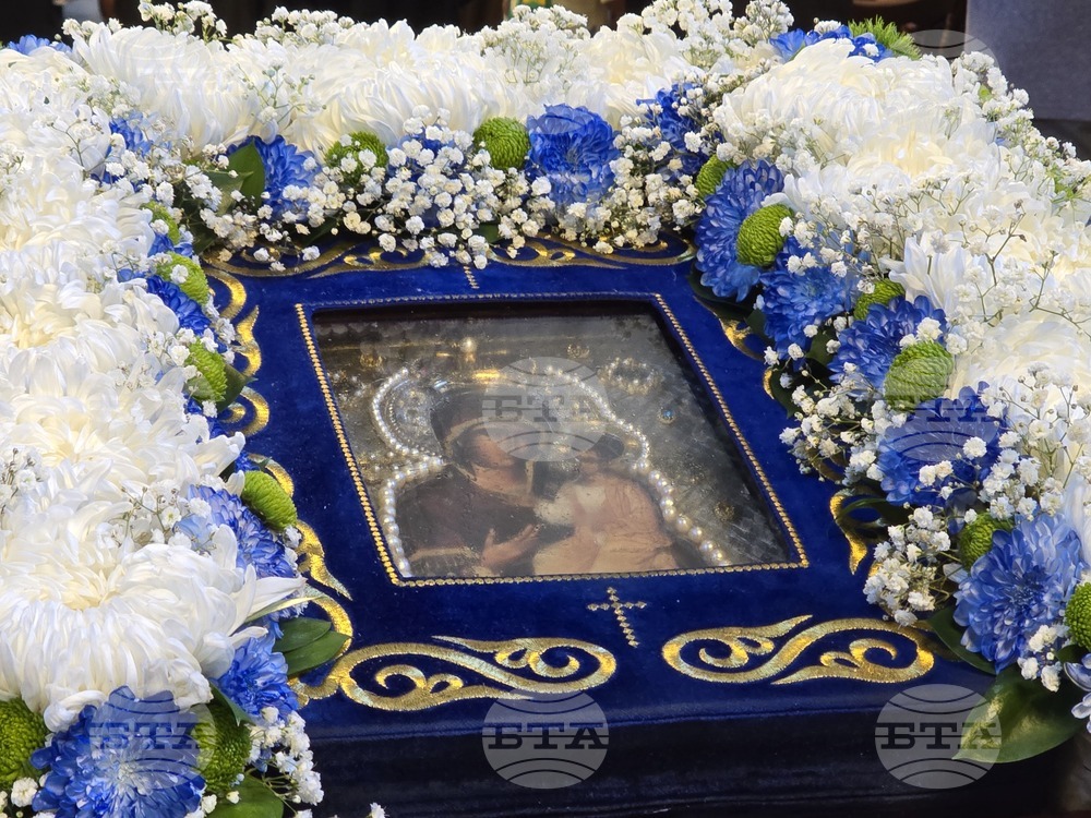 Видин - Хавайска чудотворна мироточива икона на Пресвета Богородица - посрещане - литийно шествие