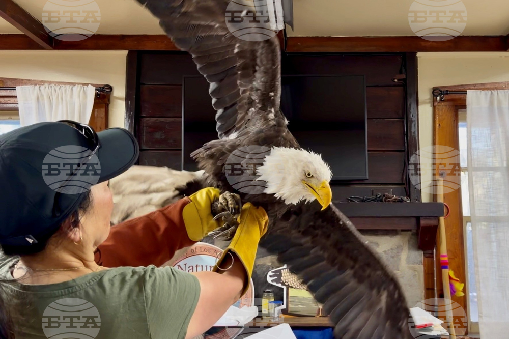 Obit Bald Eagle Jackie