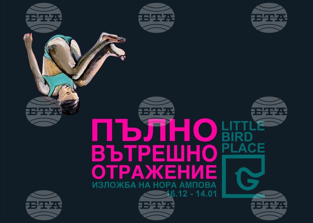Художничката Нора Ампова завършва с "Пълно вътрешно отражение" своя поредица от живописни серии