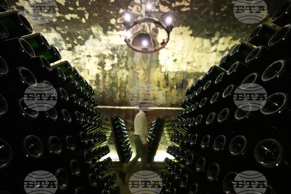 Italy Early Wine Harvest