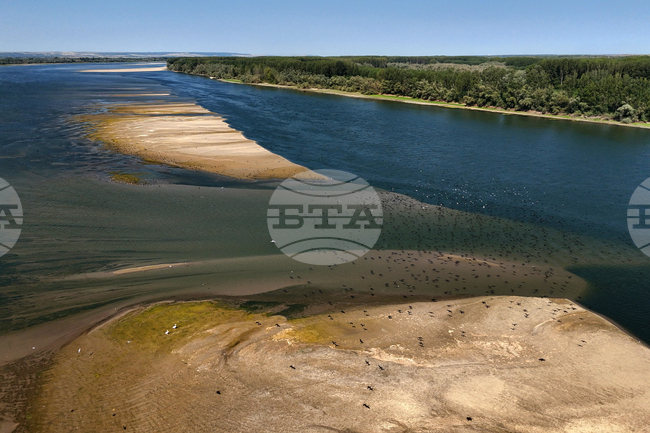 Село Сомовит - река Дунав - обстановка