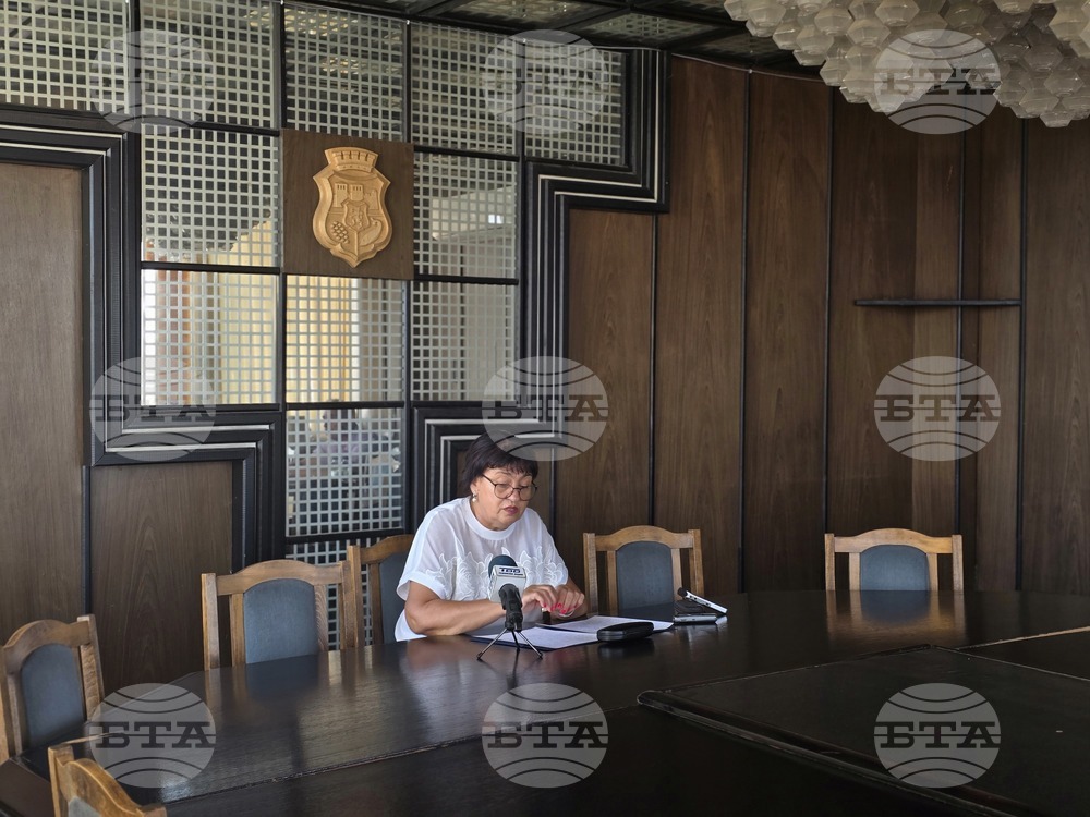 Видин - Борислава Борисова - събития - брифинг