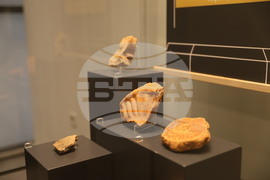 Пловдив - Регионален археологически музей - изложба