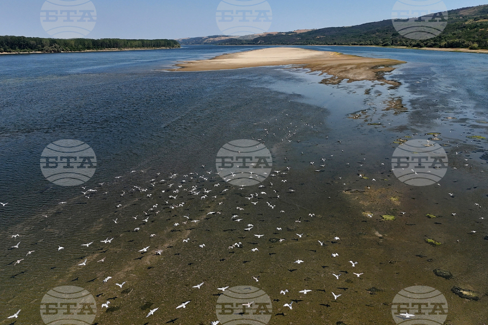 Belene - Danube - Drought