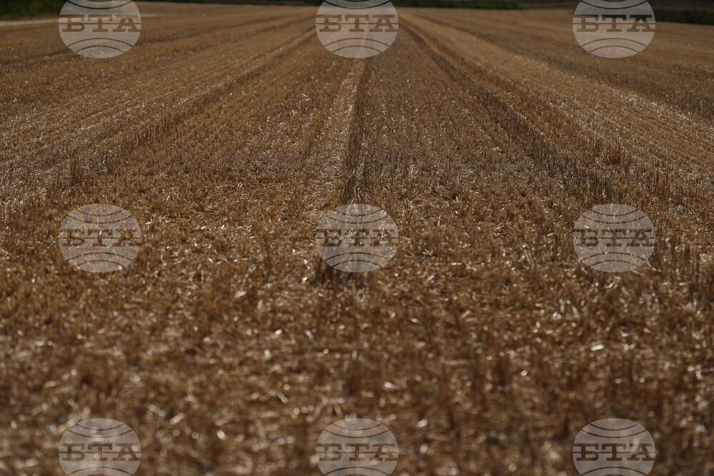 Netherlands Extreme Weather Drought