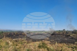 Село Виноградец - пожар