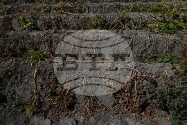 Netherlands Extreme Weather Drought