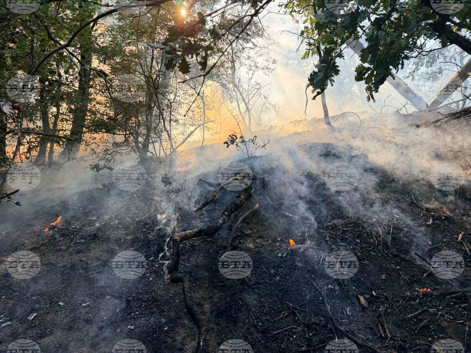 Пожарът край тополовградското село Българска поляна се разраства, обмисля се помощ от въздуха и задействане на BG-ALERT