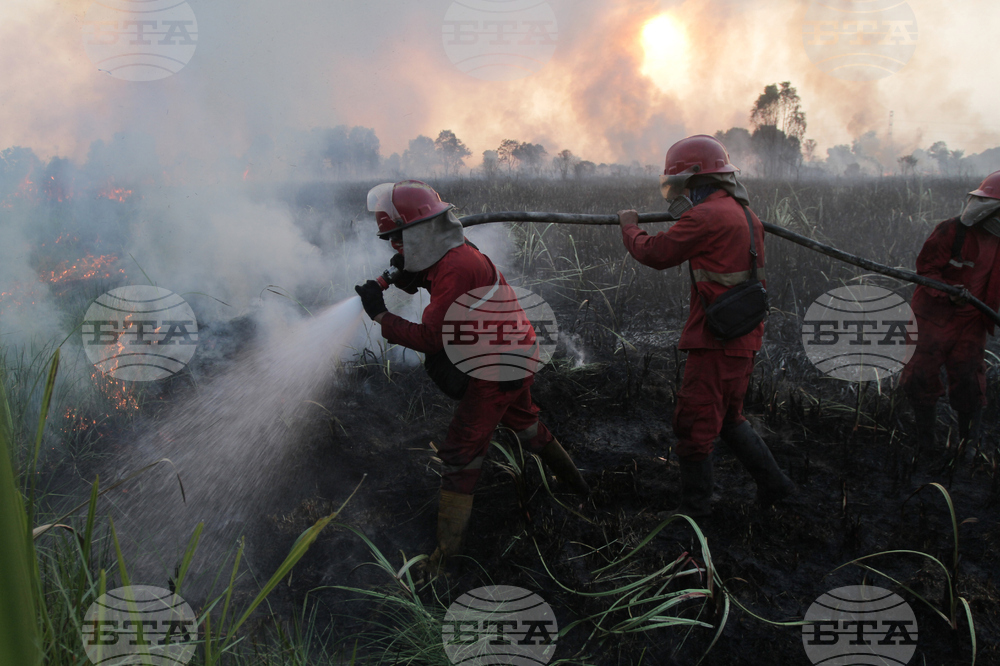 Indonesia Wildfires