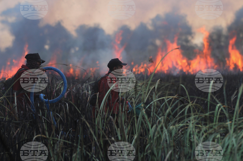 Indonesia Wildfires