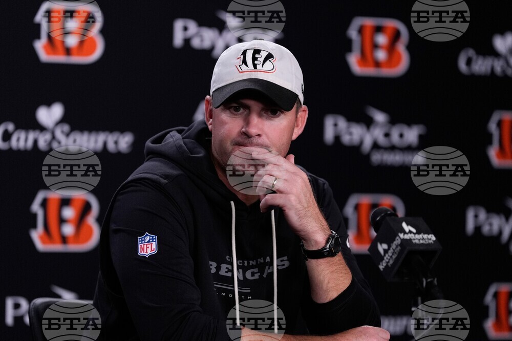 Bengals Football
