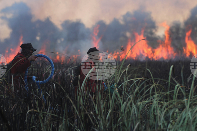APTOPIX Indonesia Wildfires